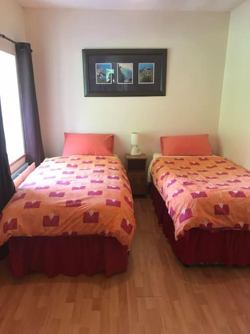 Castlegregory-Seaside 2 Bedroomed Cottage מראה חיצוני תמונה