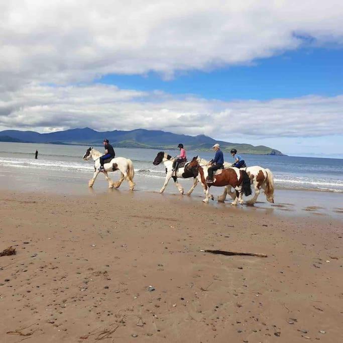 Castlegregory-Seaside 2 Bedroomed Cottage מראה חיצוני תמונה