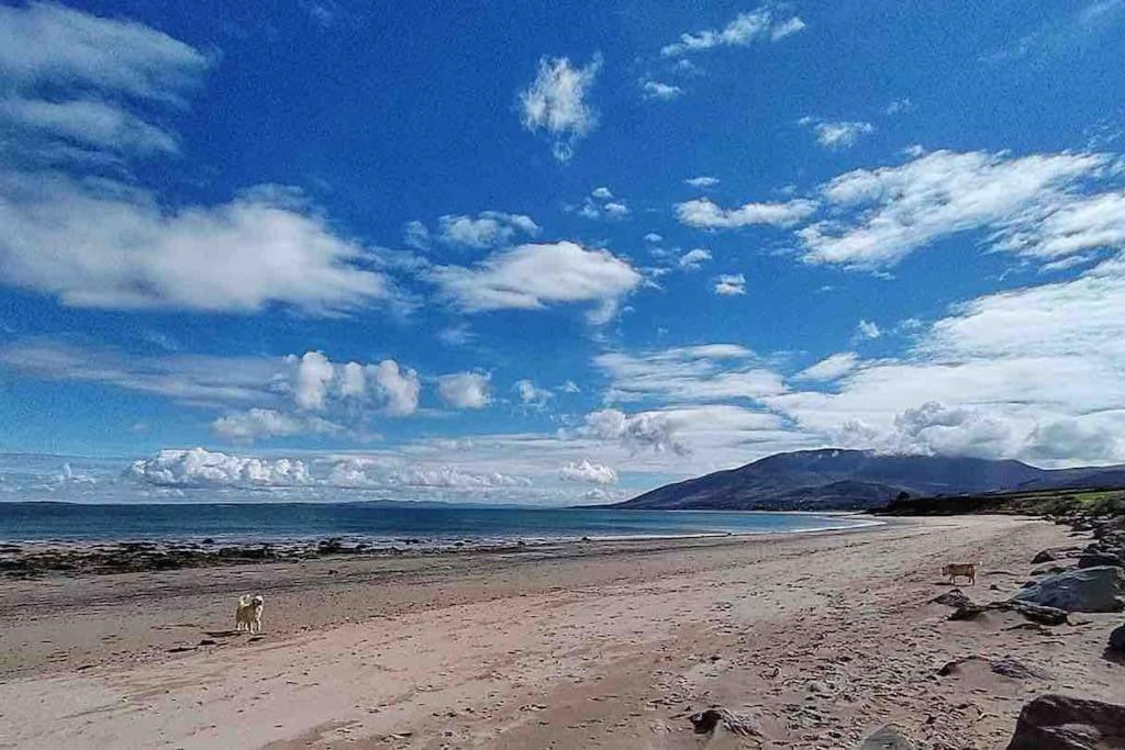 Castlegregory-Seaside 2 Bedroomed Cottage מראה חיצוני תמונה